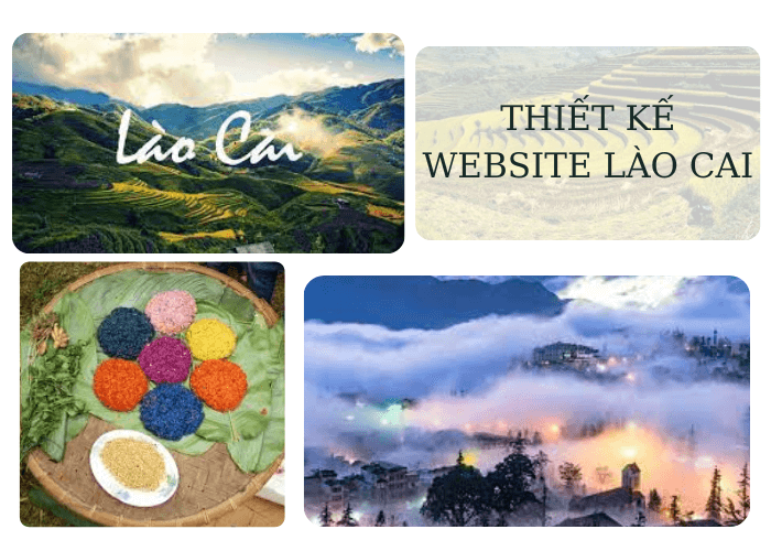 Thiết kế website Lào Cai